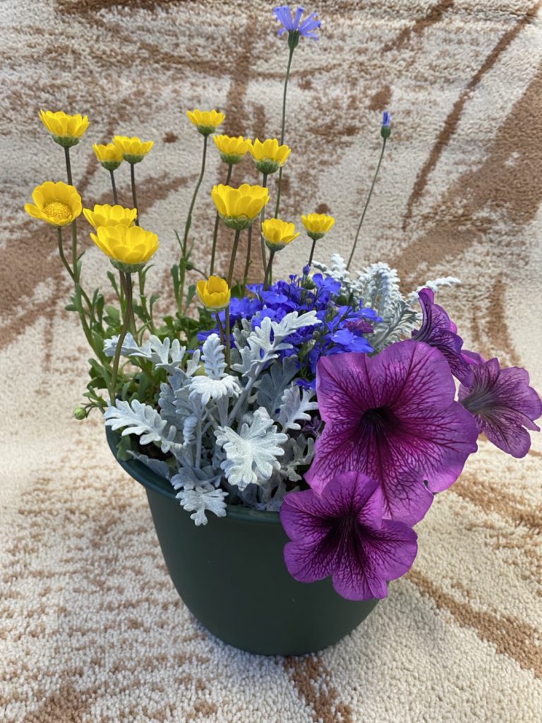 寄せ植え販売はじめました ダスキン 太田支店